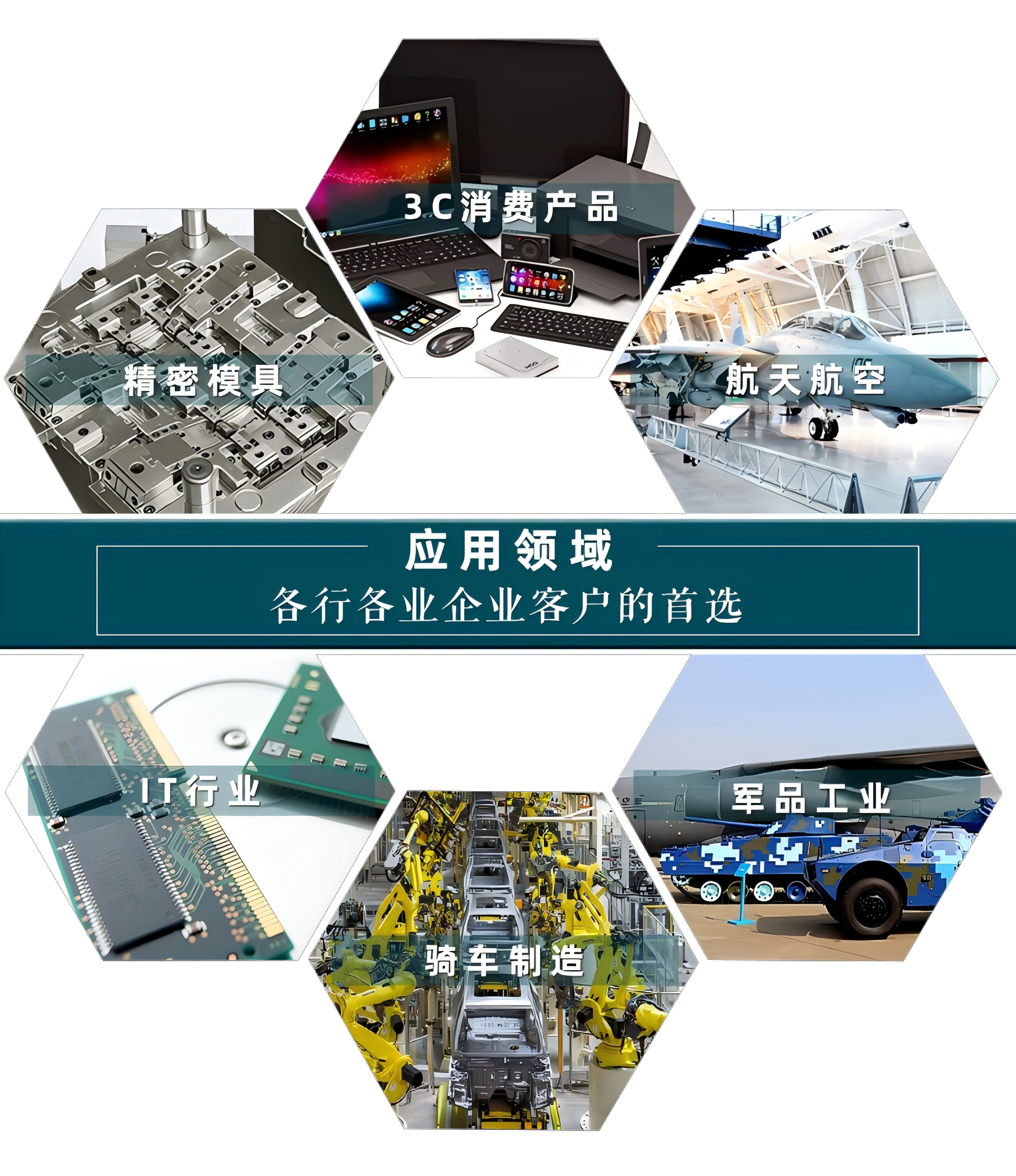 百洋